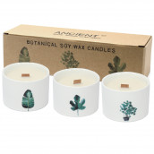 Pack of 3 Medium Botanical Candles - Lemon Honeysuckle