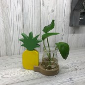 Hydroponic Home Decor - Pineapple