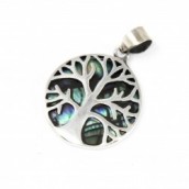 Tree of Life 925 Silver Pendant 22mm - Abalone