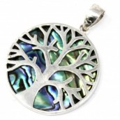 Tree of Life 925 Silver Pendant 30mm - Abalone
