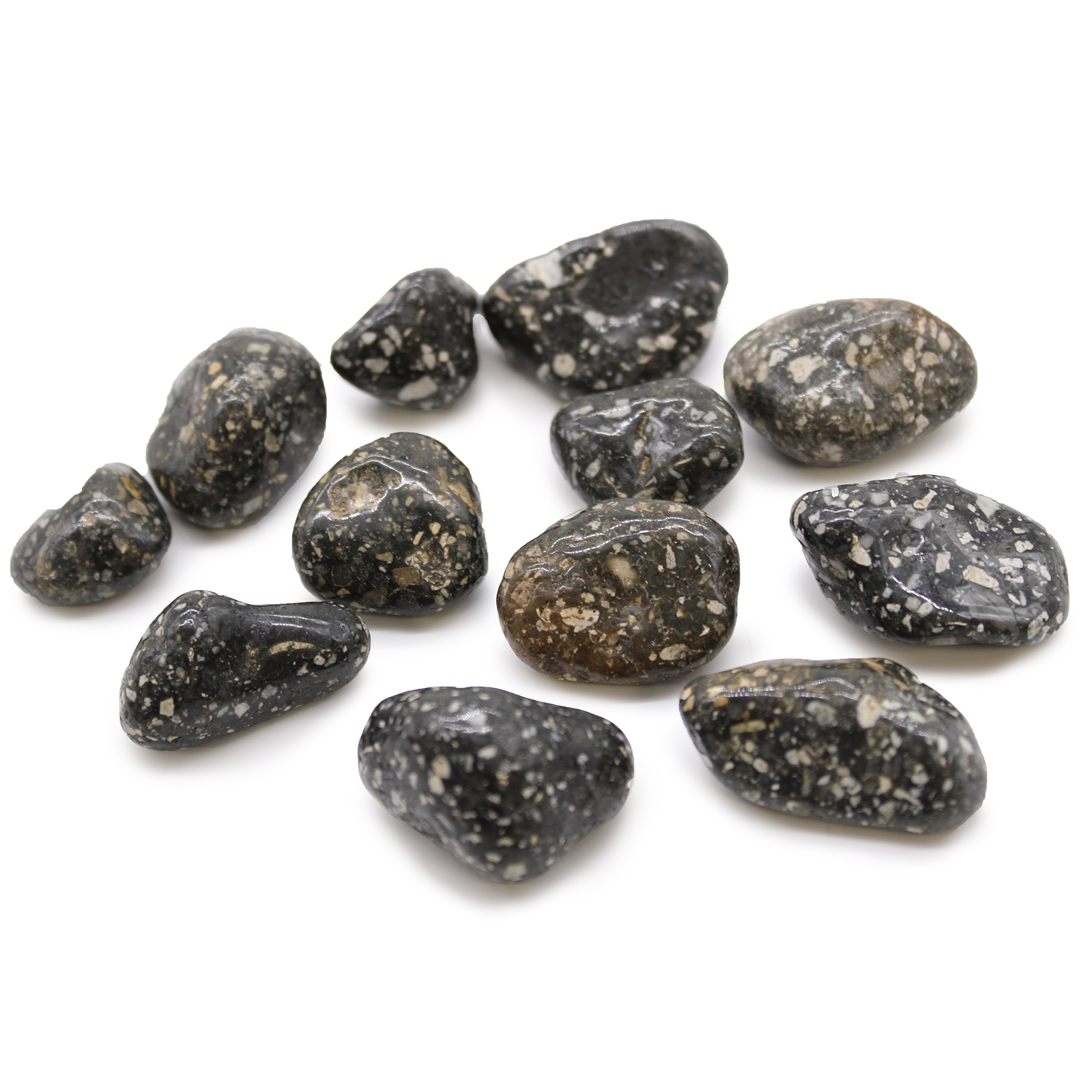 12 x Medium African Tumble Stones - Guinea Fowl - Click Image to Close