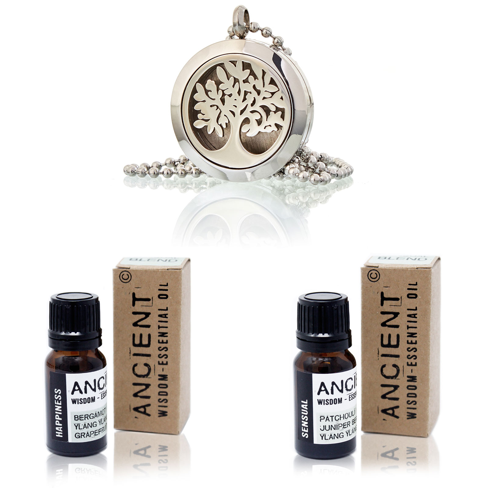 Diffuser Necklace and Essential Oil Blends Set - Click Image to Close