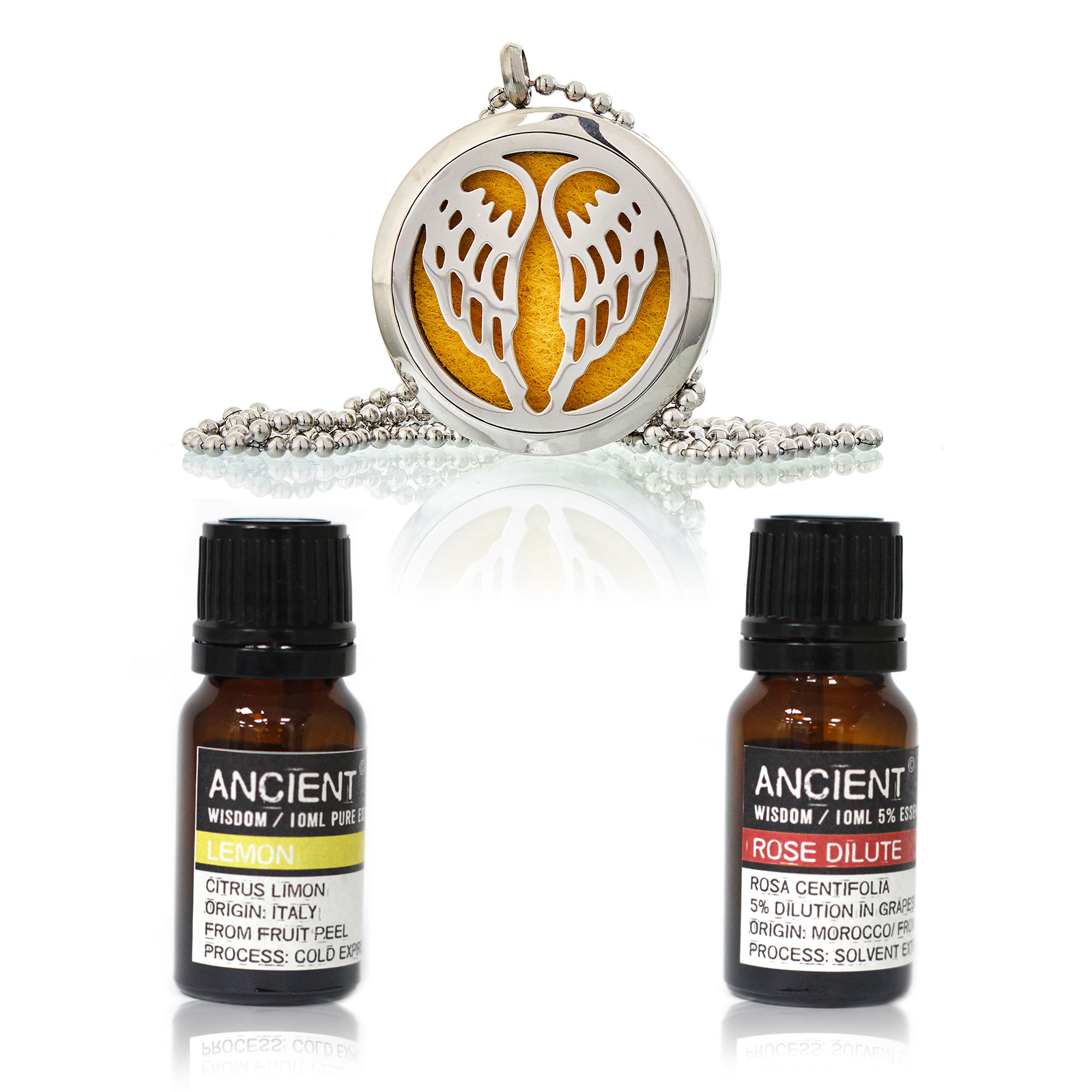 Diffuser Necklace and Essential Oils Set - Click Image to Close