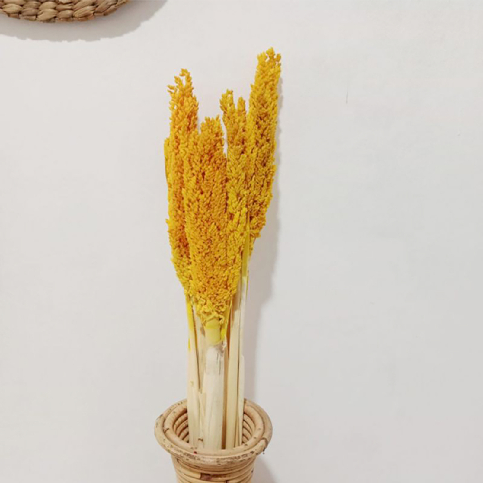 6 x Cantal Grass Bunch - Amber