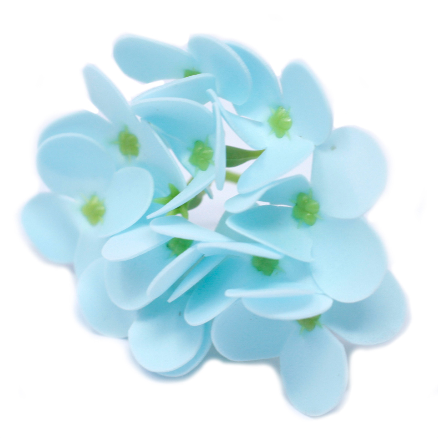 10 x Craft Soap Flowers - Hyacinth Bean - Baby Blue - Click Image to Close