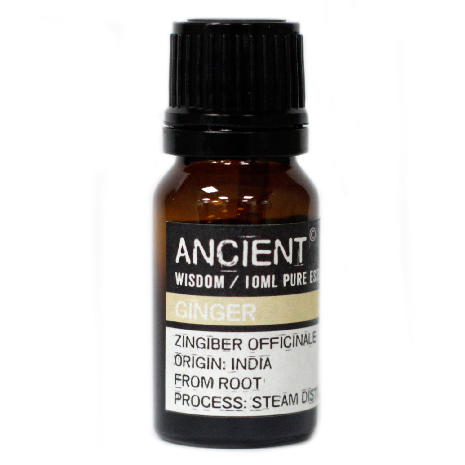 Ginger Essential Oil 10ml - Click Image to Close