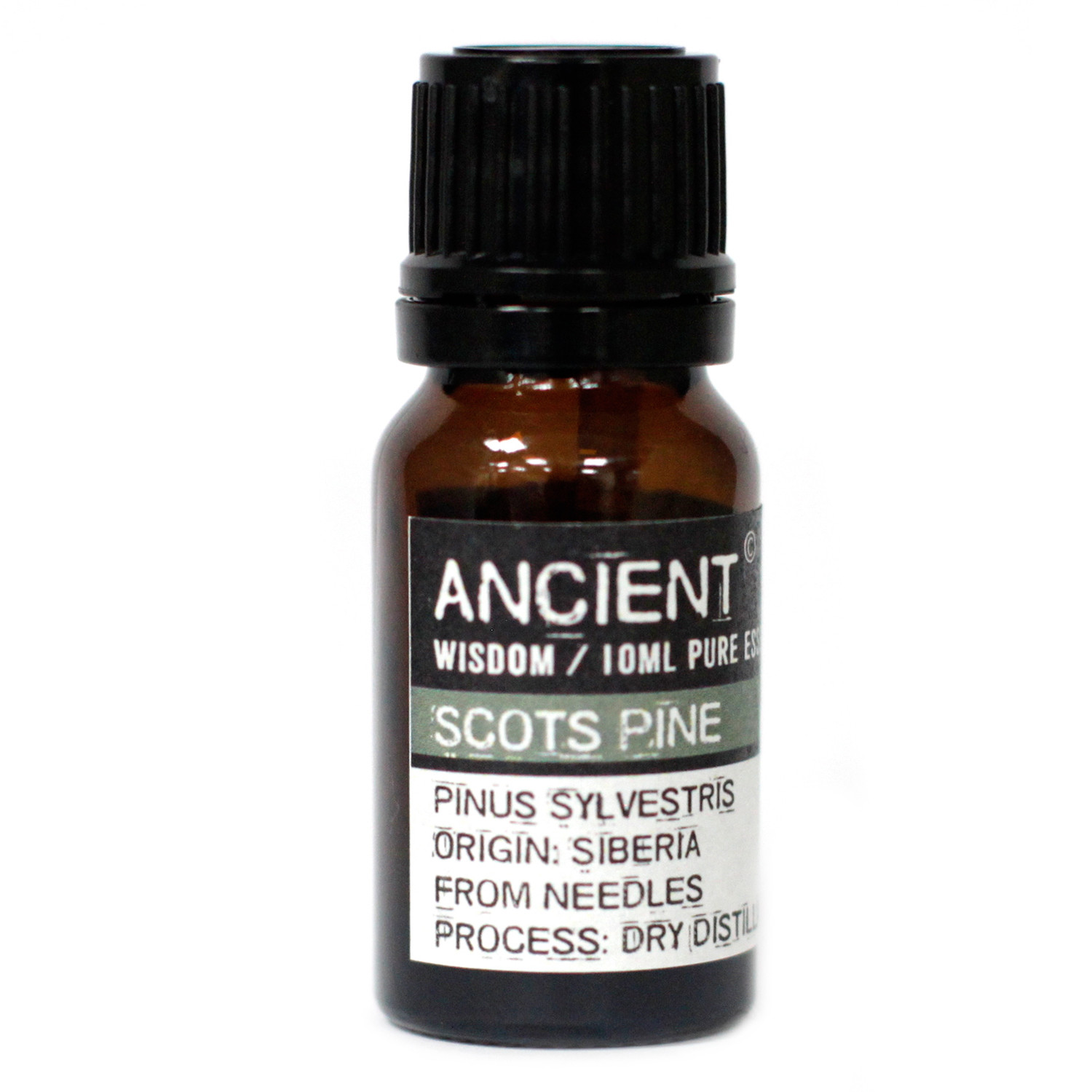 Scots Pine Essential Oil 10ml - Click Image to Close