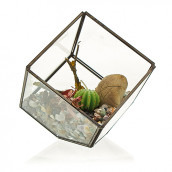 Glass Terrarium - Cube on Corner - Click Image to Close