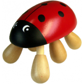 Ladybird Massager - Click Image to Close