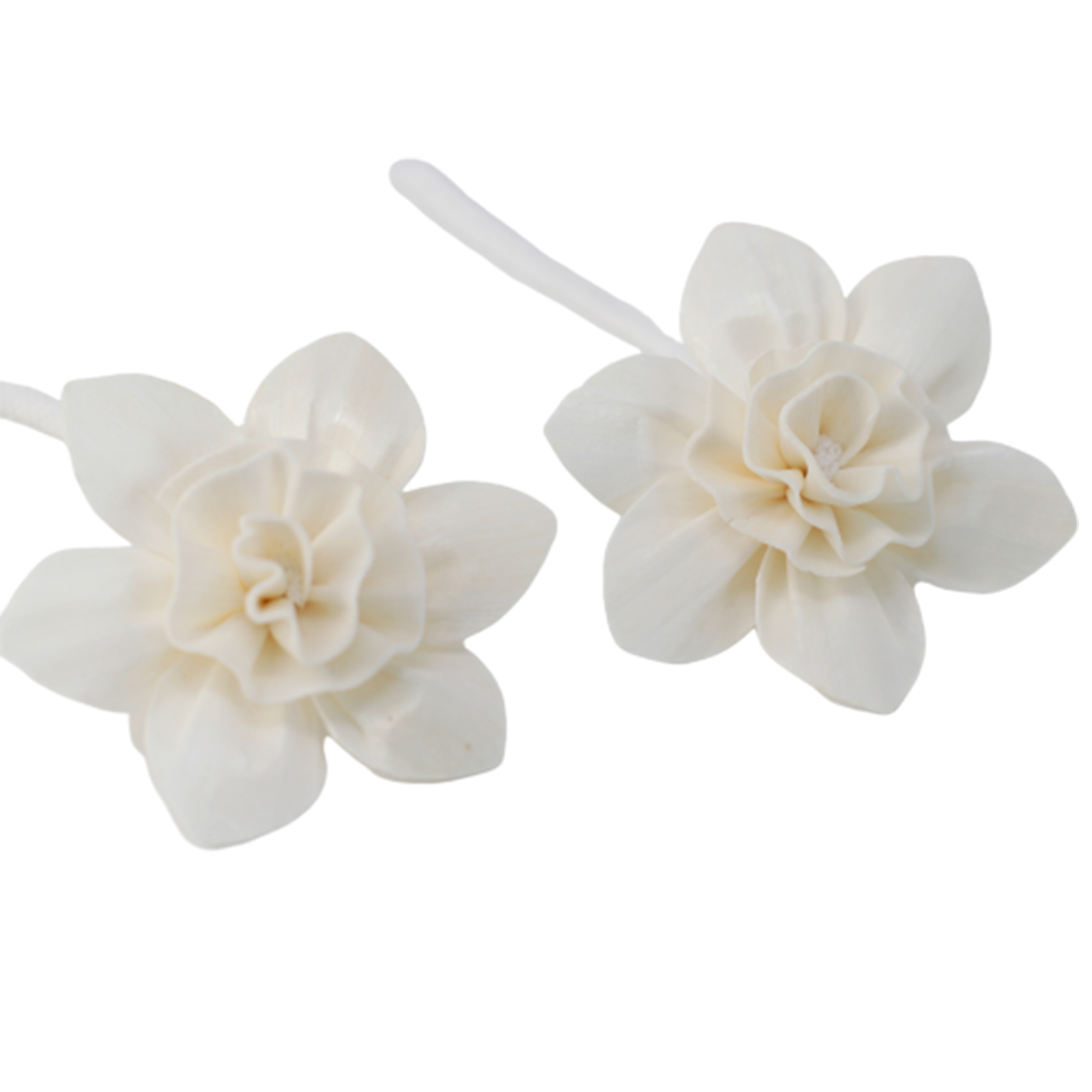 12 x Natural Diffuser Flowers - Large Lily on String - Click Image to Close