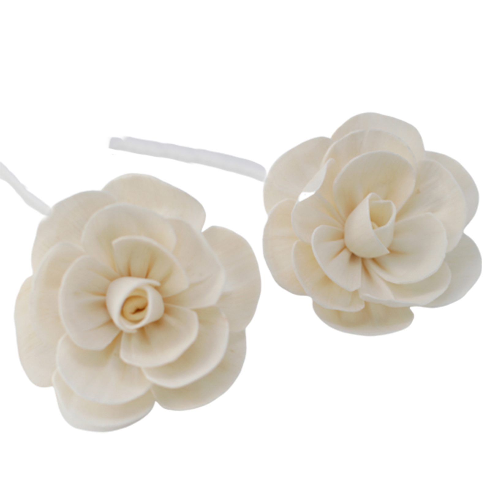 12 x Natural Diffuser Flowers - Large Lotus on String - Click Image to Close