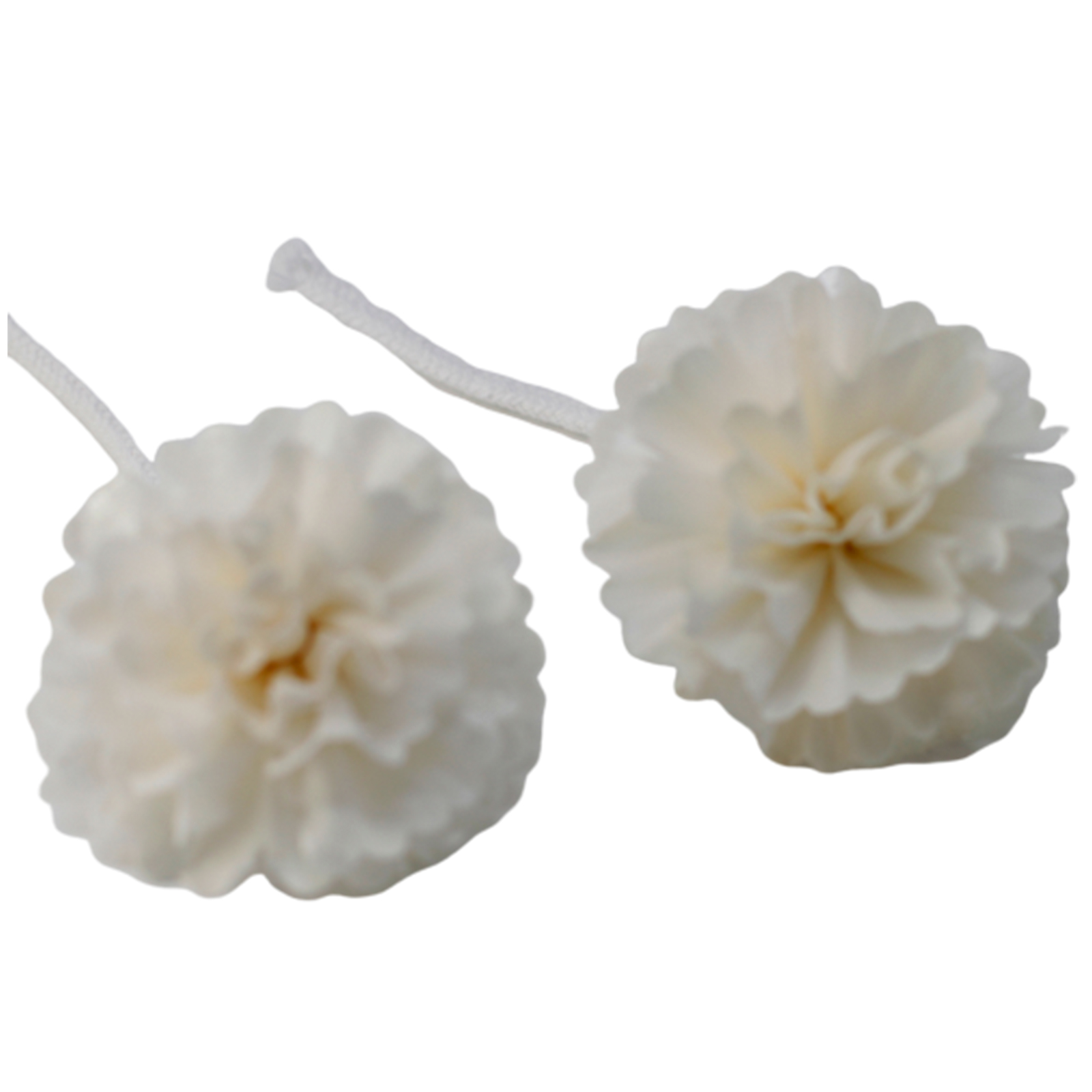 12 x Natural Diffuser Flowers - Medium Carnation on String - Click Image to Close