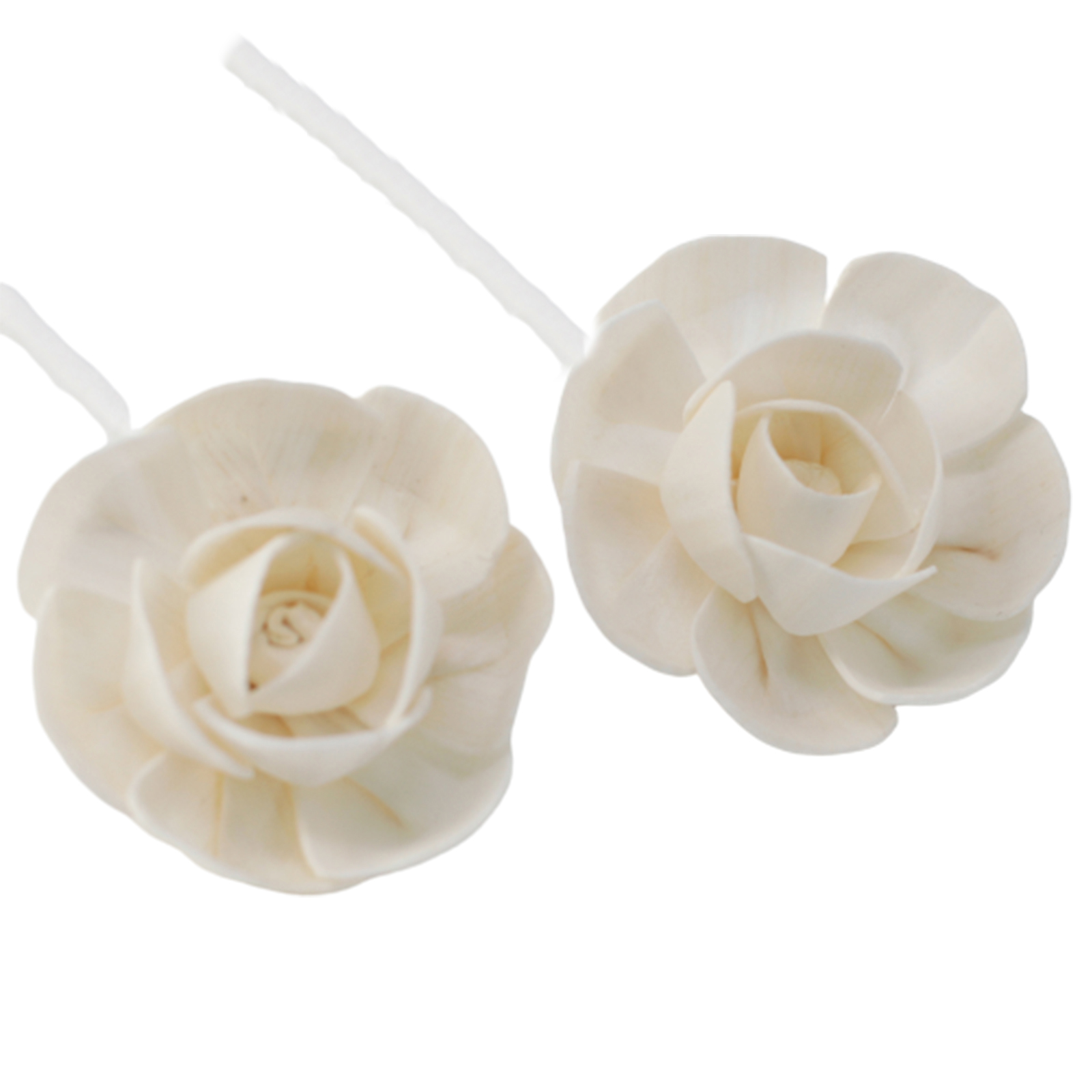 12 x Natural Diffuser Flowers - Small Lotus on String - Click Image to Close