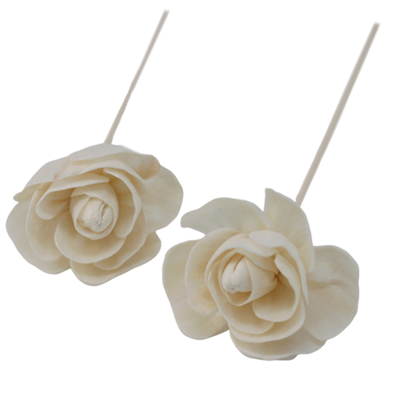 12 x Natural Diffuser Flowers - Rose on Reed - Click Image to Close
