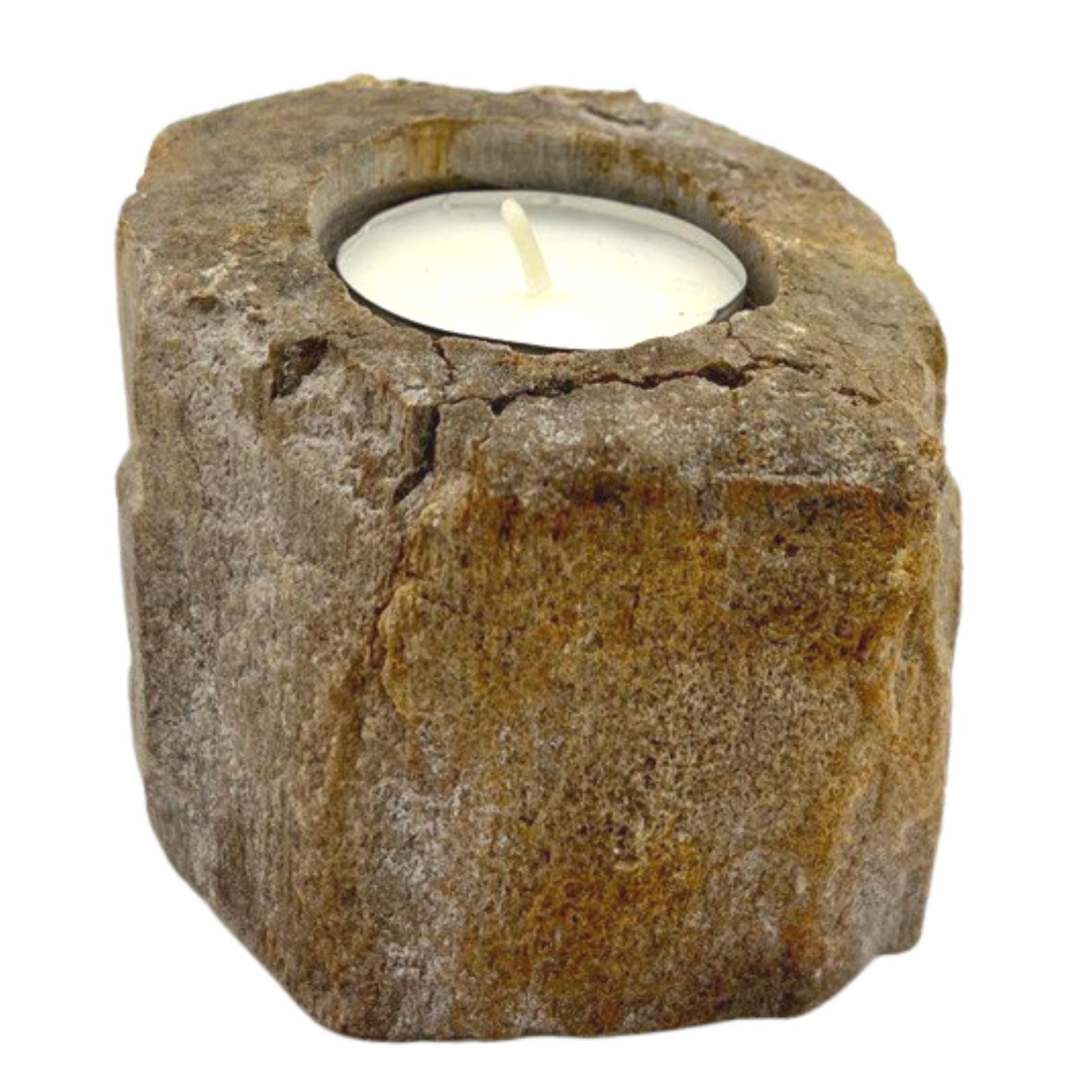 Petrified Wood Candle Holder - Single Low - Click Image to Close