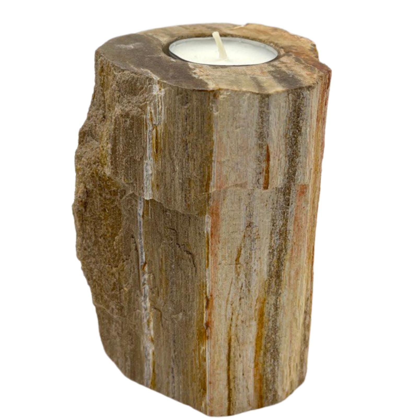 Petrified Wood Candle Holder - Single Tall - Click Image to Close