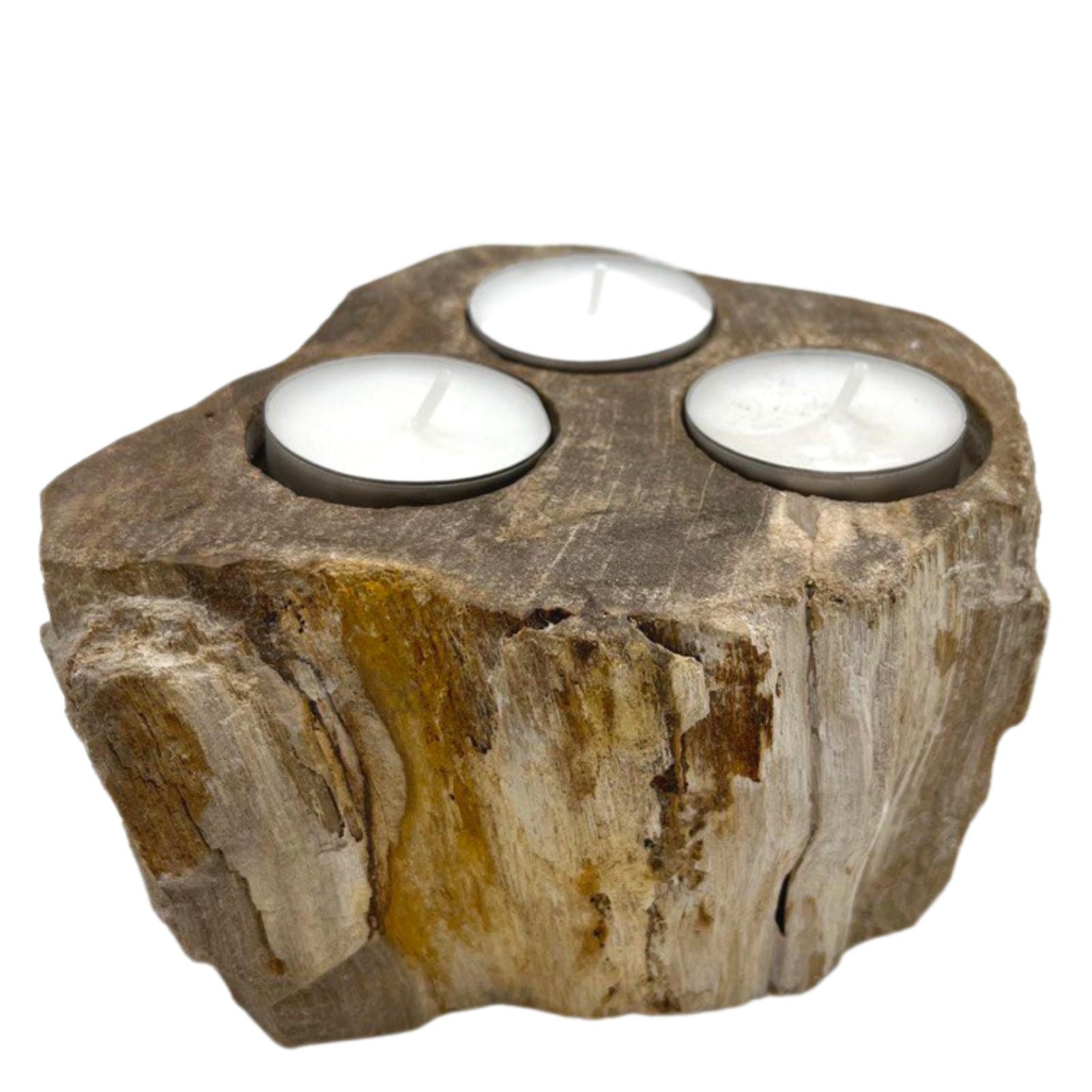 Petrified Wood Candle Holder - Triple - Click Image to Close