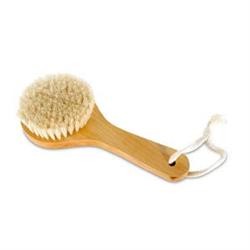 Short Handle Body Scrub Brush