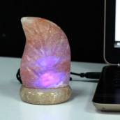 Quality USB Natural Salt Lamp Leaf (Multi) - Click Image to Close